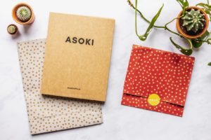 Plastikfreie Verpackung Papiertüte rot mit weißen Punkten und gelbem Asoki-Aufkleber neben Asoki Kartonverpackung mit Logo und kleine Kakteen herum