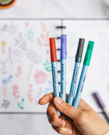 Entfernbare Stifte, Rot, Blau, Schwarz und Grün, mit veganem Filzradierer