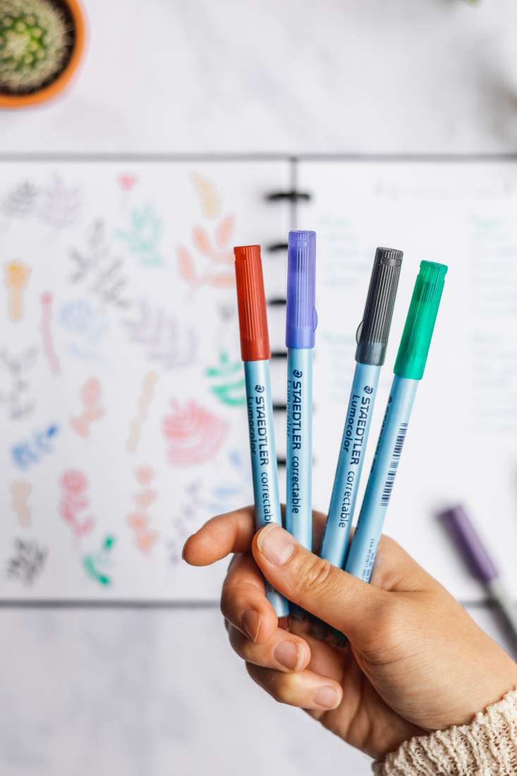 Entfernbare Stifte, Rot, Blau, Schwarz und Grün, mit veganem Filzradierer